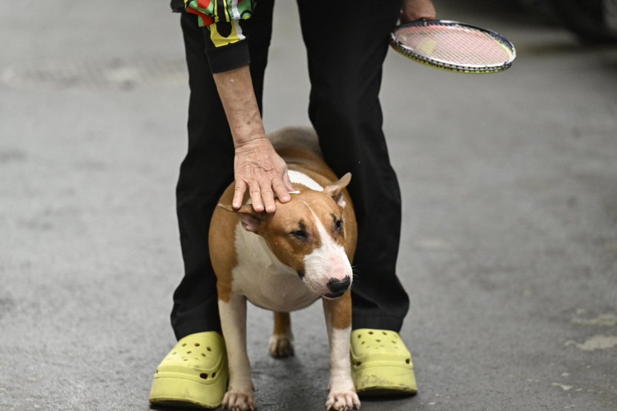 Ngừng quay phim, chụp ảnh “cậu Vàng Mr. Gold” ngoài đời- Ảnh 7. Ngừng quay phim, chụp ảnh “cậu Vàng Mr. Gold” ngoài đời- Ảnh 7.