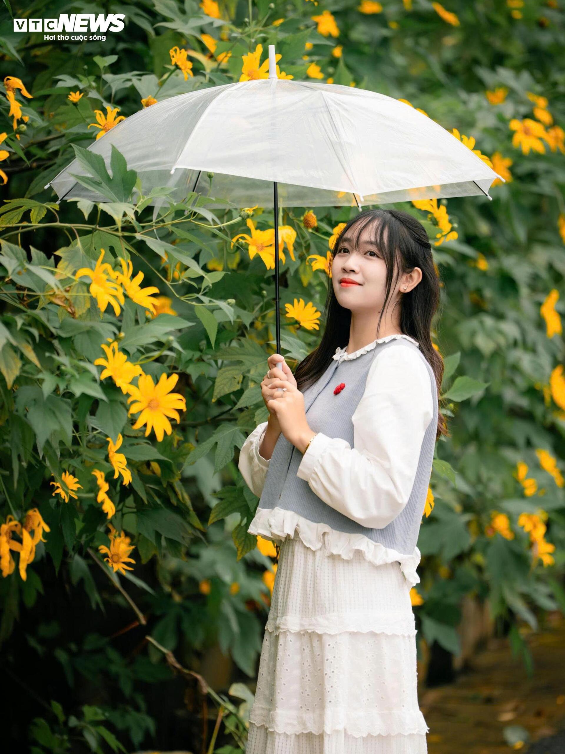 Mùa dã quỳ phủ vàng sườn núi Ba Vì, khách đổ về săn ảnh đầu đông- Ảnh 11.