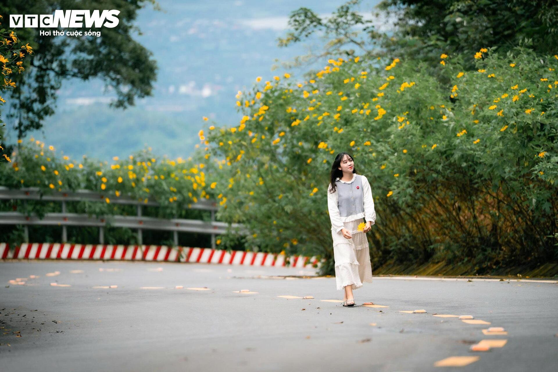 Mùa dã quỳ phủ vàng sườn núi Ba Vì, khách đổ về săn ảnh đầu đông- Ảnh 12.