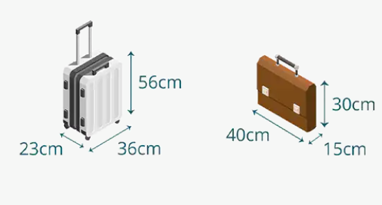 Cục Hàng không yêu cầu rà soát quy trình kiểm tra hành lý xách tay- Ảnh 1.