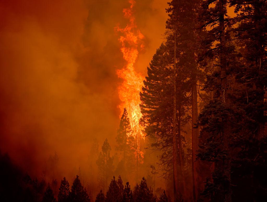 Trái đất vẫn còn cơ hội- Ảnh 1.