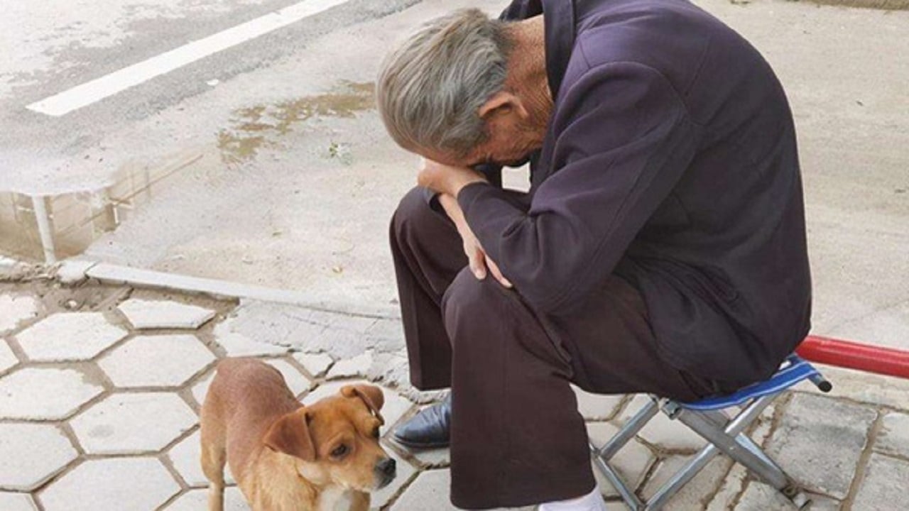 3 hình thức 3 hình thức