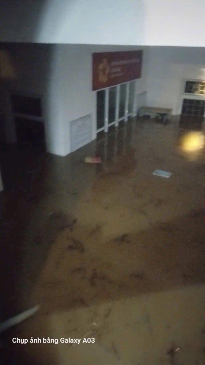 Cảnh tượng đau lòng khi bão số 13 đi qua- Ảnh 20. Cảnh tượng đau lòng khi bão số 13 đi qua- Ảnh 20.