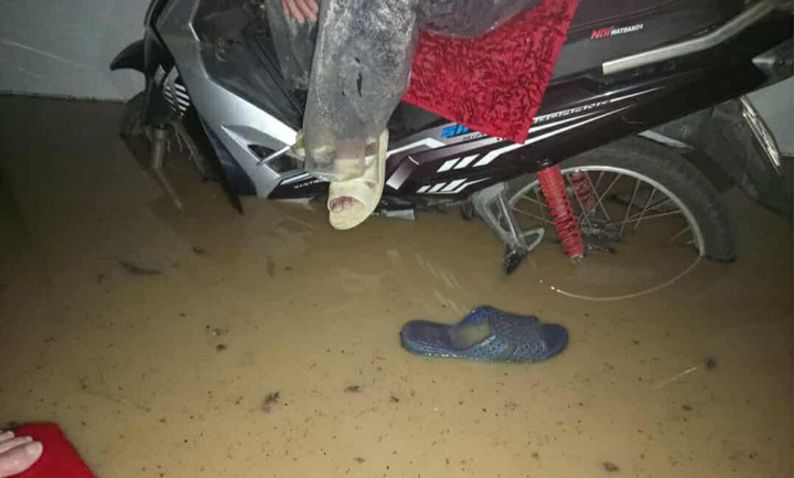 Cảnh tượng đau lòng khi bão số 13 đi qua- Ảnh 18. Cảnh tượng đau lòng khi bão số 13 đi qua- Ảnh 18.