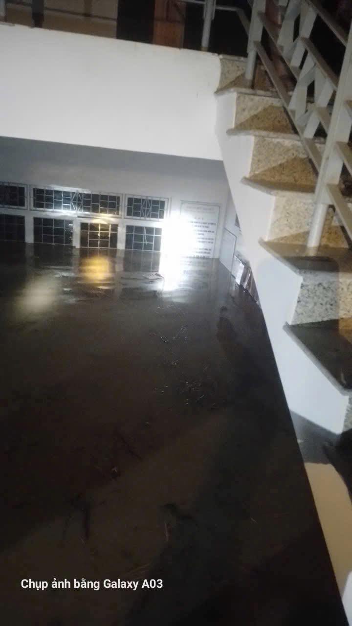 Cảnh tượng đau lòng khi bão số 13 đi qua- Ảnh 22. Cảnh tượng đau lòng khi bão số 13 đi qua- Ảnh 22.