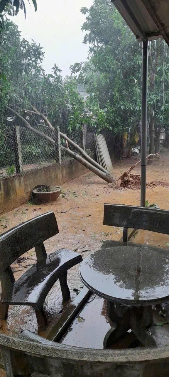 Cảnh tượng đau lòng khi bão số 13 đi qua- Ảnh 16. Cảnh tượng đau lòng khi bão số 13 đi qua- Ảnh 16.