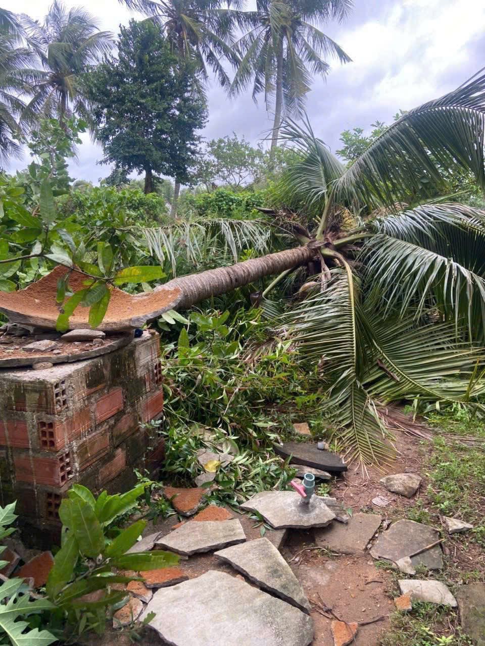 Cảnh tượng đau lòng khi bão số 13 đi qua- Ảnh 17. Cảnh tượng đau lòng khi bão số 13 đi qua- Ảnh 17.