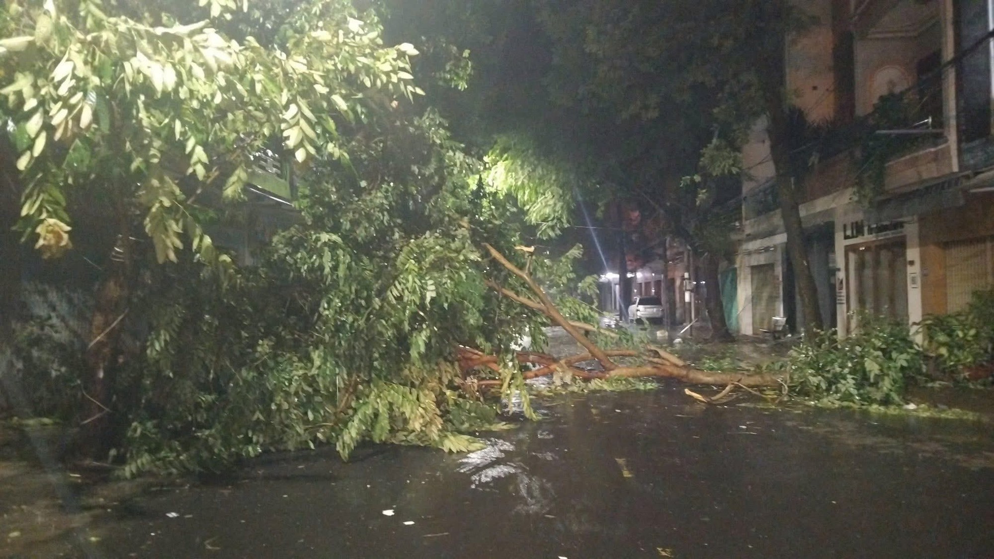 Cảnh tượng đau lòng khi bão số 13 đi qua- Ảnh 23. Cảnh tượng đau lòng khi bão số 13 đi qua- Ảnh 23.