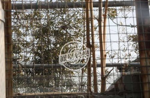 Nữ diễn viên hạng A sống trong căn nhà 300 tỷ- Ảnh 6. Nữ diễn viên hạng A sống trong căn nhà 300 tỷ- Ảnh 6.