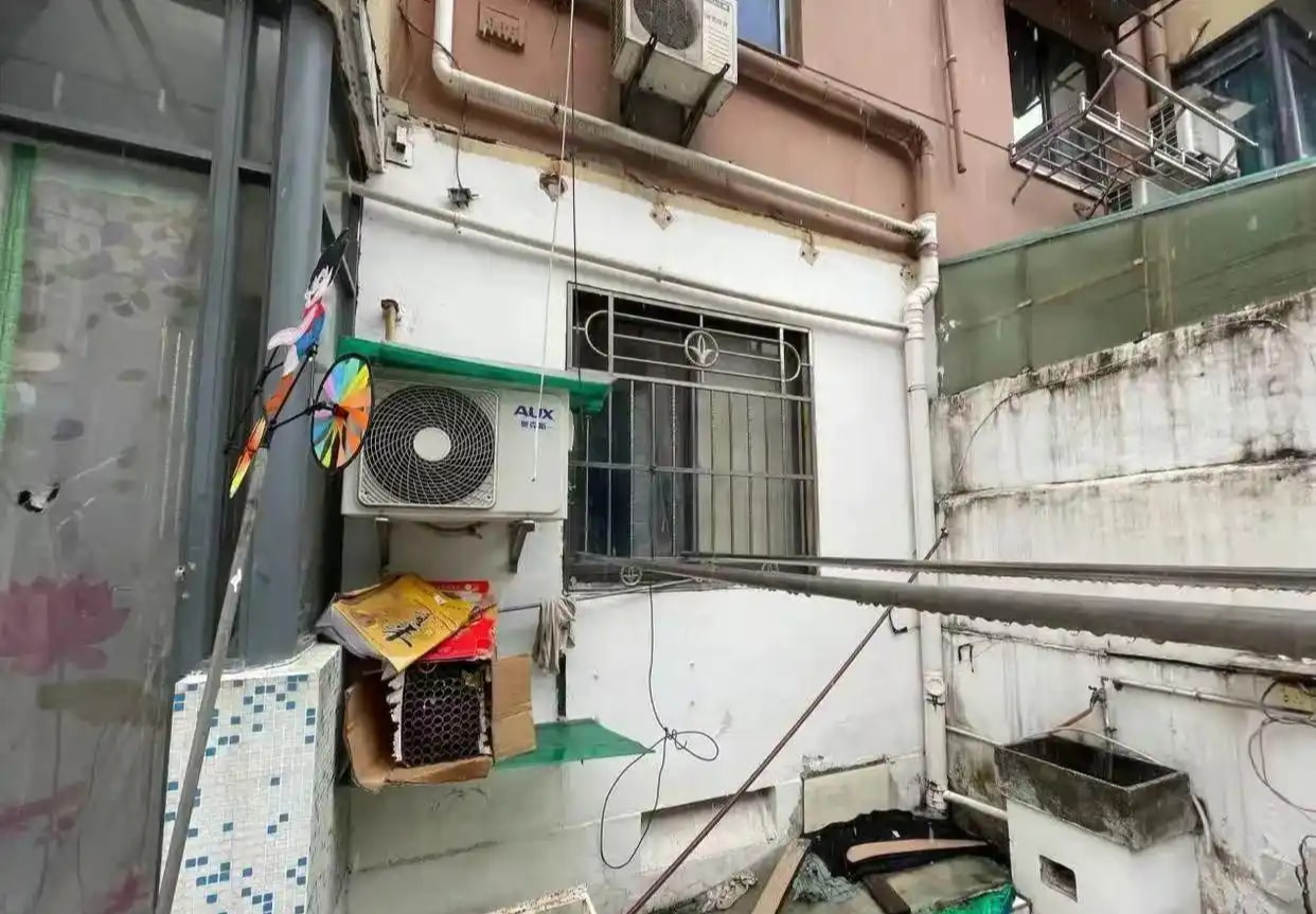 36 tuổi vẫn không kết hôn, người phụ nữ cải tạo đống đổ nát thành nhà đẹp như mộng: 36 tuổi vẫn không kết hôn, người phụ nữ cải tạo đống đổ nát thành nhà đẹp như mộng: