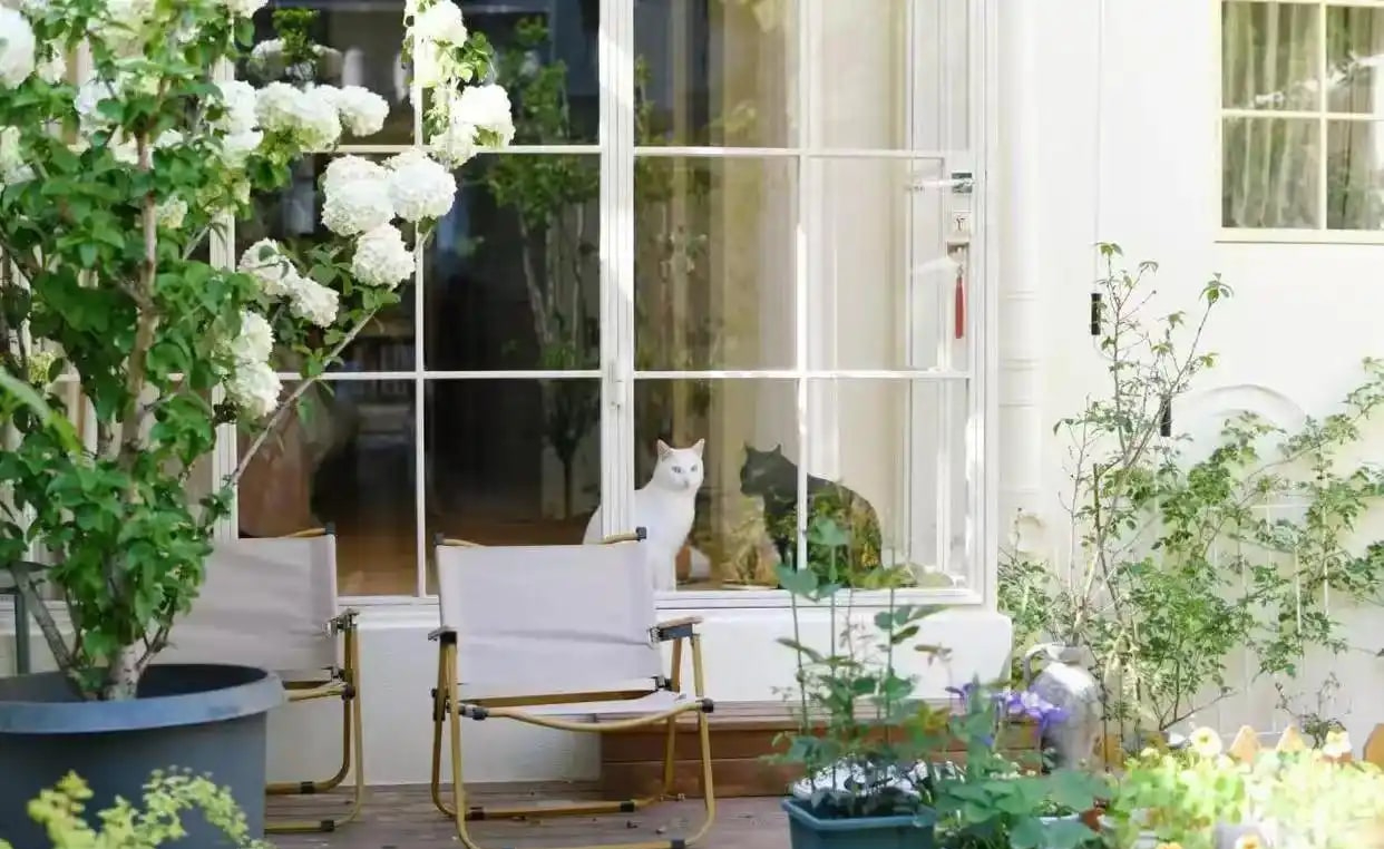 36 tuổi vẫn không kết hôn, người phụ nữ cải tạo đống đổ nát thành nhà đẹp như mộng: 36 tuổi vẫn không kết hôn, người phụ nữ cải tạo đống đổ nát thành nhà đẹp như mộng: