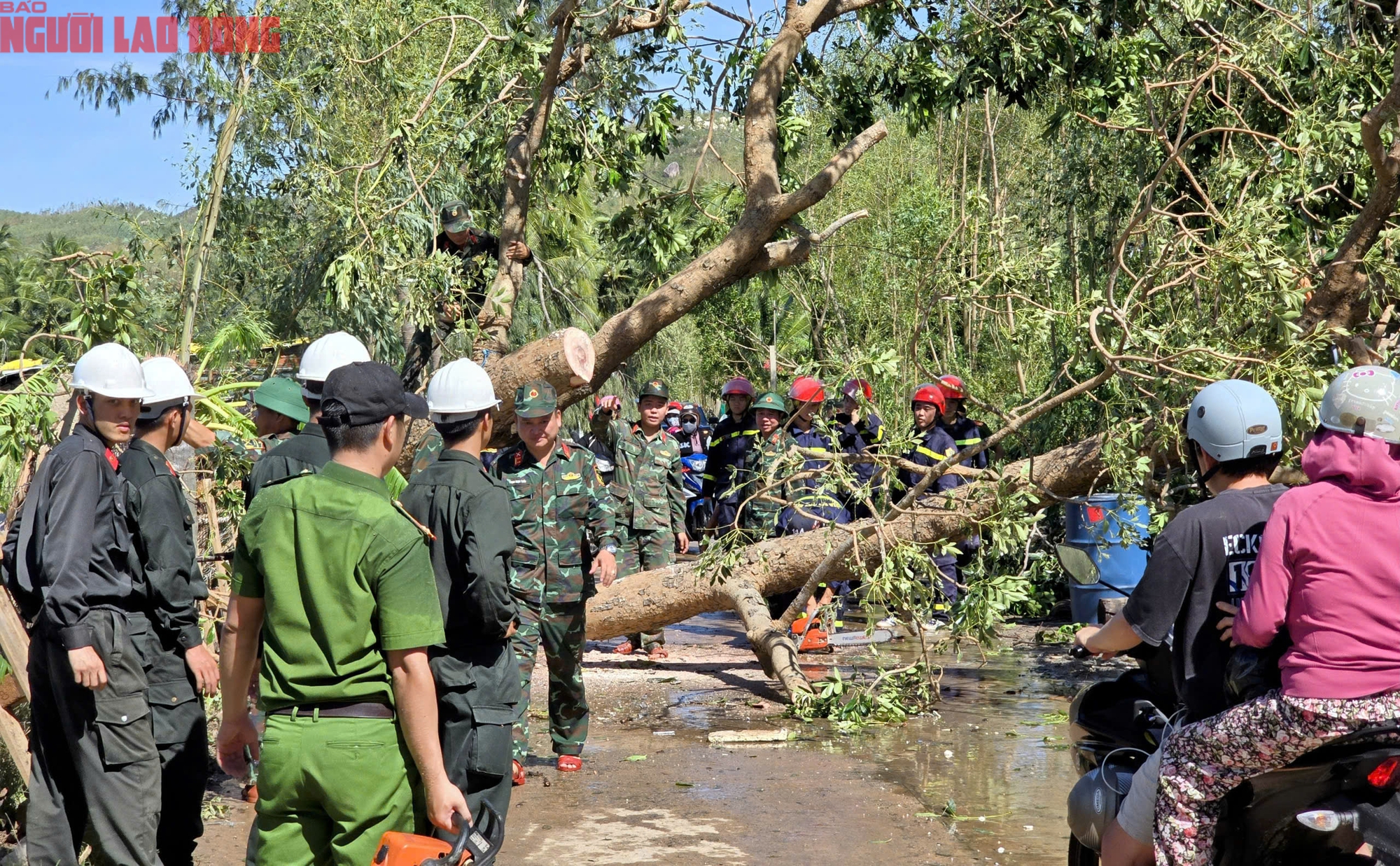 Đắk Lắk: Hàng trăm tàu cá chồng chất lên nhau sau bão số 13, ngư dân bật khóc- Ảnh 12. Đắk Lắk: Hàng trăm tàu cá chồng chất lên nhau sau bão số 13, ngư dân bật khóc- Ảnh 12.