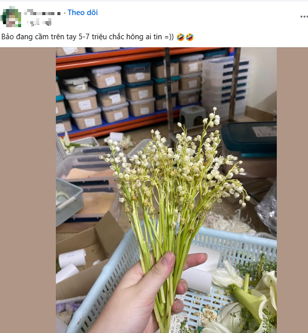 Xôn xao vài cành hoa héo giá 7 triệu đồng: Bí ẩn đằng sau loài hoa được nhiều sao Việt chọn làm hoa cưới- Ảnh 1.
