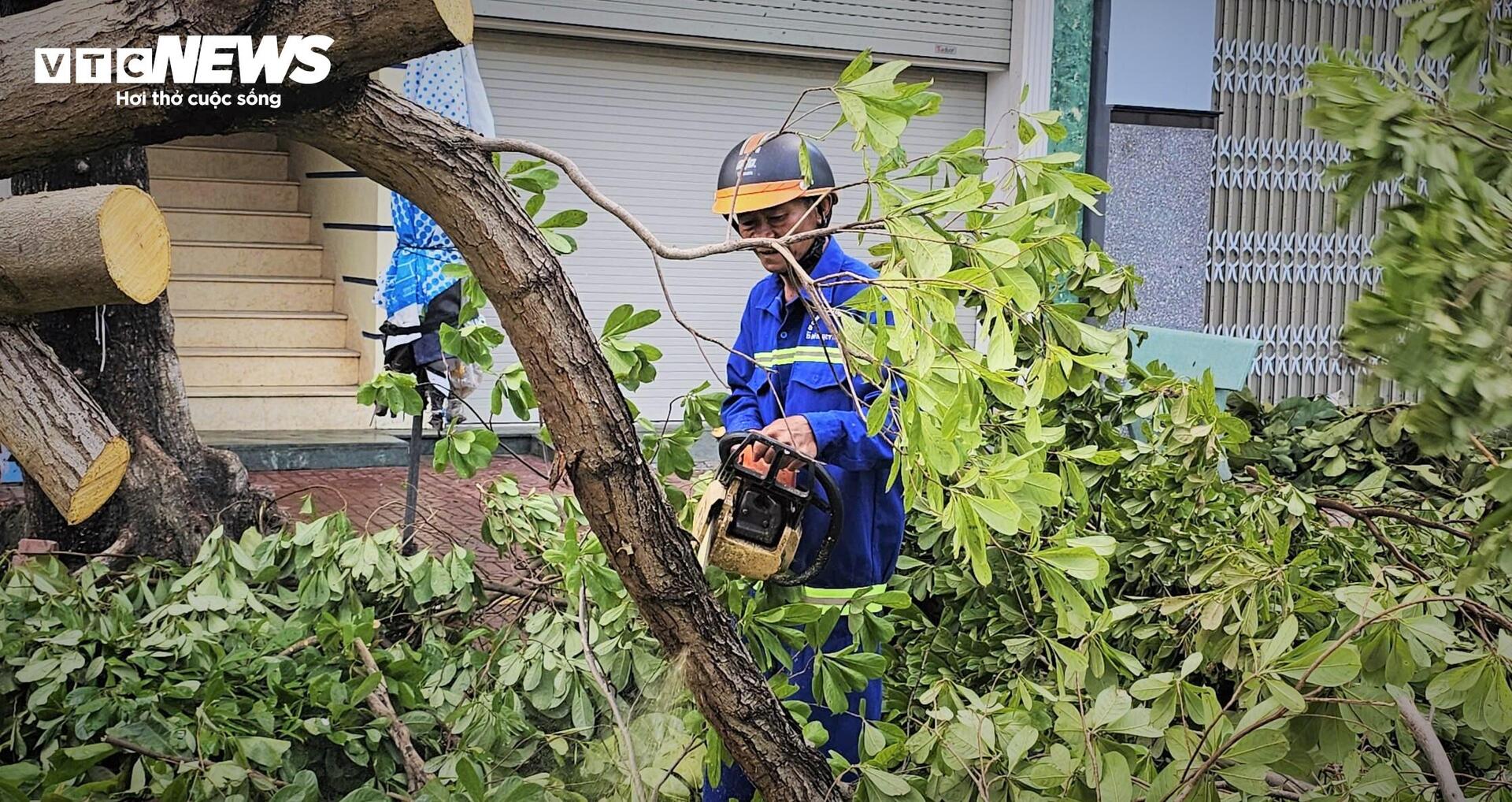 Gia Lai tan hoang sau bão Kalmaegi: Nhà tốc mái đổ sập, cây bật gốc hàng loạt- Ảnh 14.