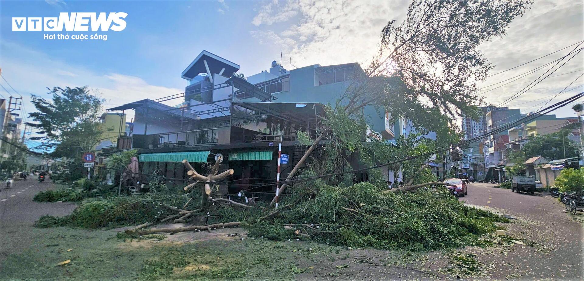 Gia Lai tan hoang sau bão Kalmaegi: Nhà tốc mái đổ sập, cây bật gốc hàng loạt- Ảnh 10.