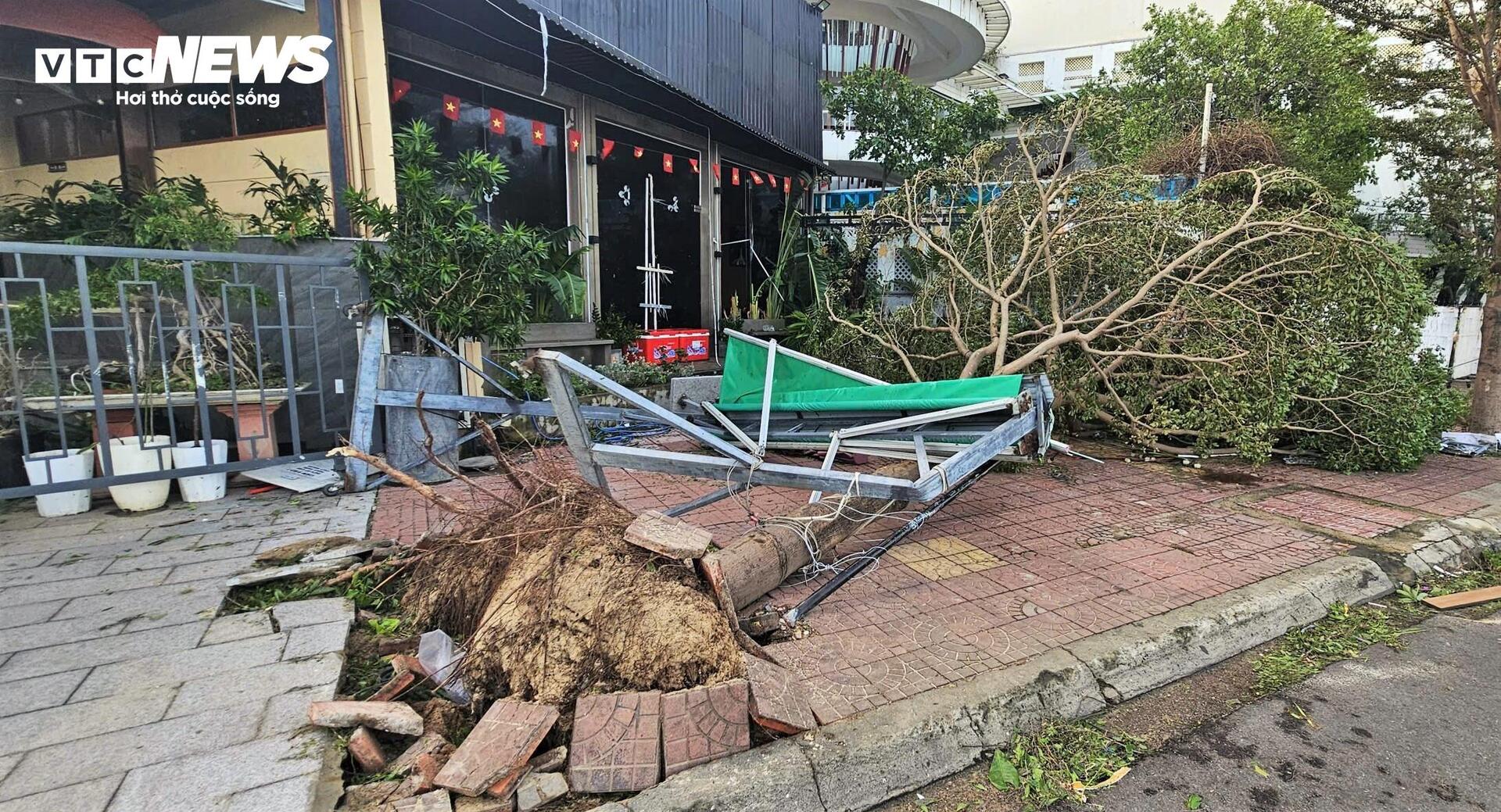 Gia Lai tan hoang sau bão Kalmaegi: Nhà tốc mái đổ sập, cây bật gốc hàng loạt- Ảnh 13.