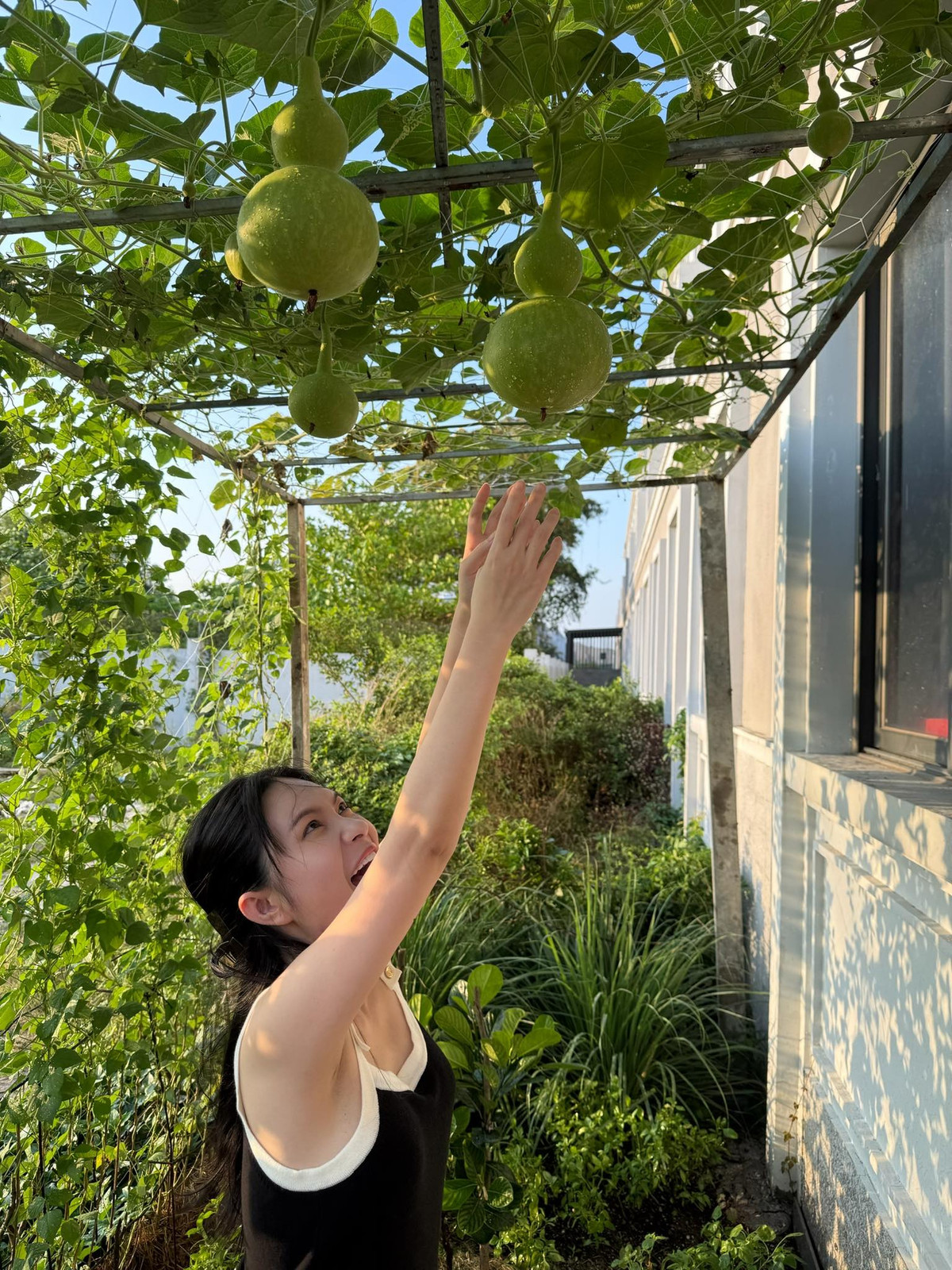 Bay màu danh xưng “nữ đại gia quận 7” của Đoàn Di Băng- Ảnh 8. Bay màu danh xưng “nữ đại gia quận 7” của Đoàn Di Băng- Ảnh 8.