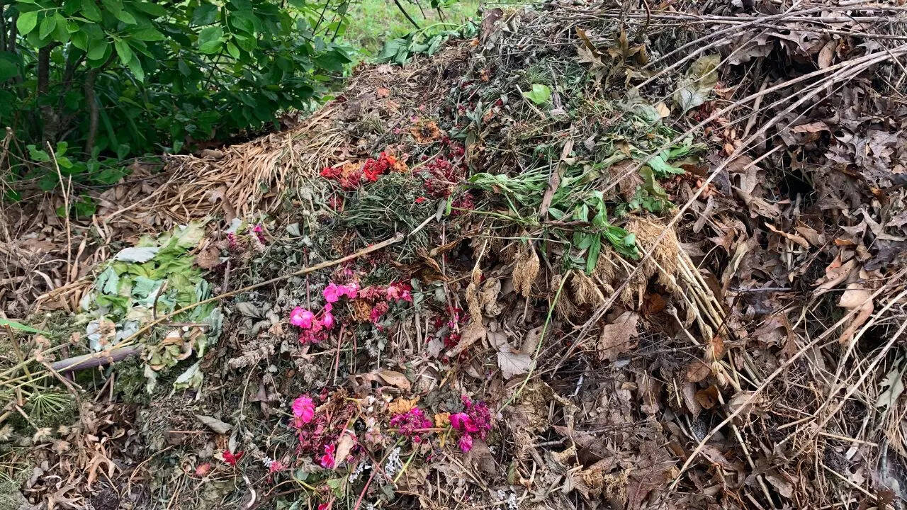 5 thứ quanh nhà dễ dụ rắn đến và cách khắc phục hiệu quả- Ảnh 4. 5 thứ quanh nhà dễ dụ rắn đến và cách khắc phục hiệu quả- Ảnh 4.