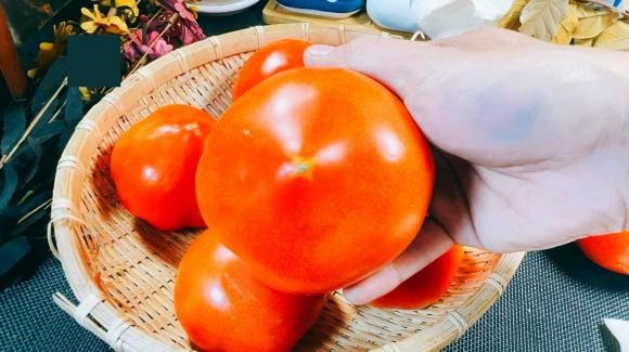 Mua cà chua nên chọn quả đầu nhọn hay đầu tròn? Tôi đi chợ 40 năm mới biết đáp án- Ảnh 1.