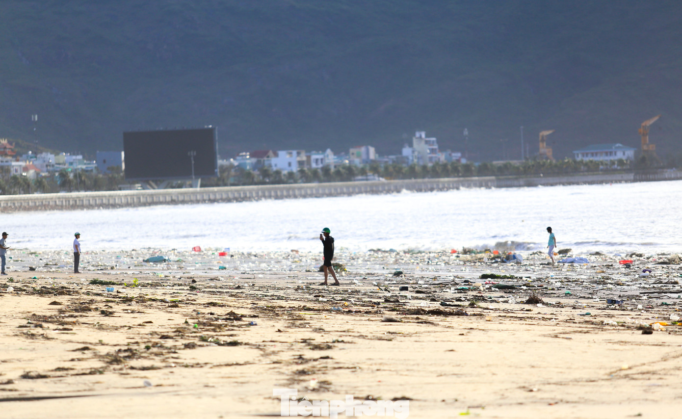 Bãi biển Quy Nhơn ngập rác- Ảnh 7.