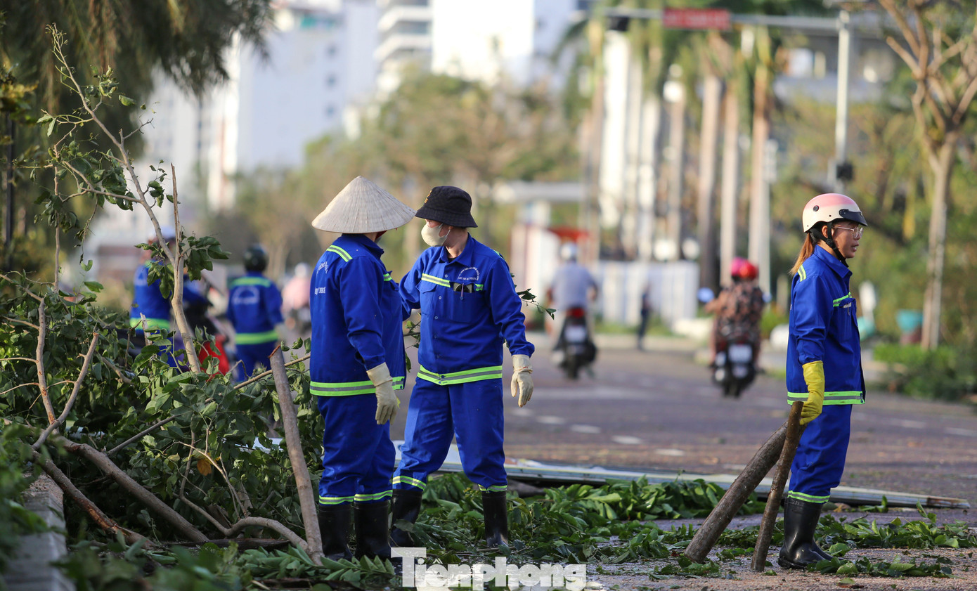 Bãi biển Quy Nhơn ngập rác- Ảnh 11.