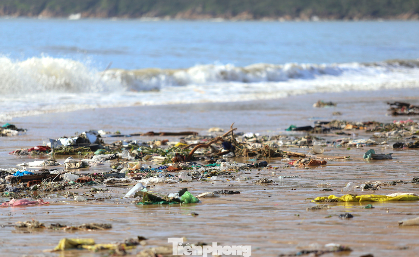 Bãi biển Quy Nhơn ngập rác- Ảnh 3.