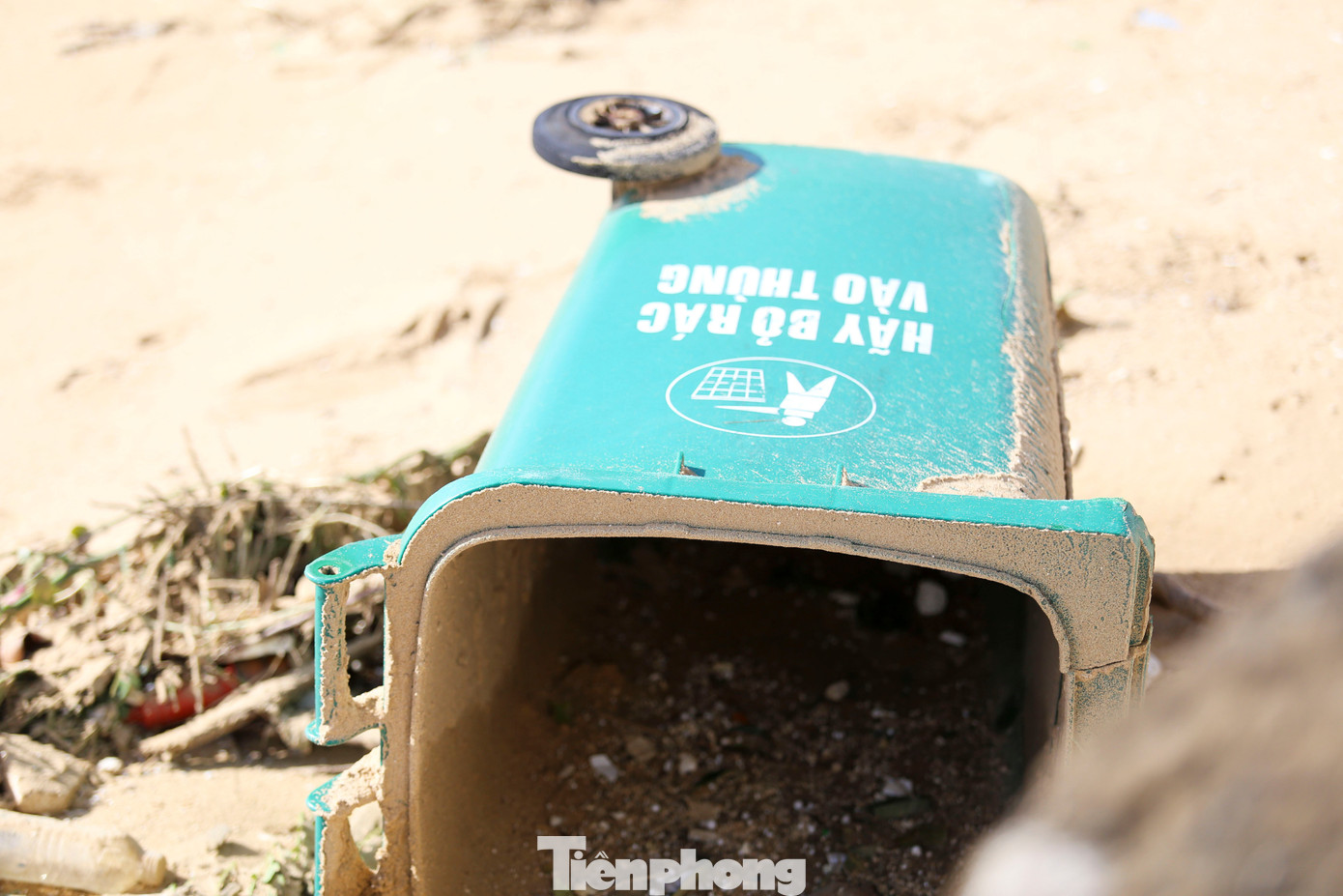 Bãi biển Quy Nhơn ngập rác- Ảnh 9.