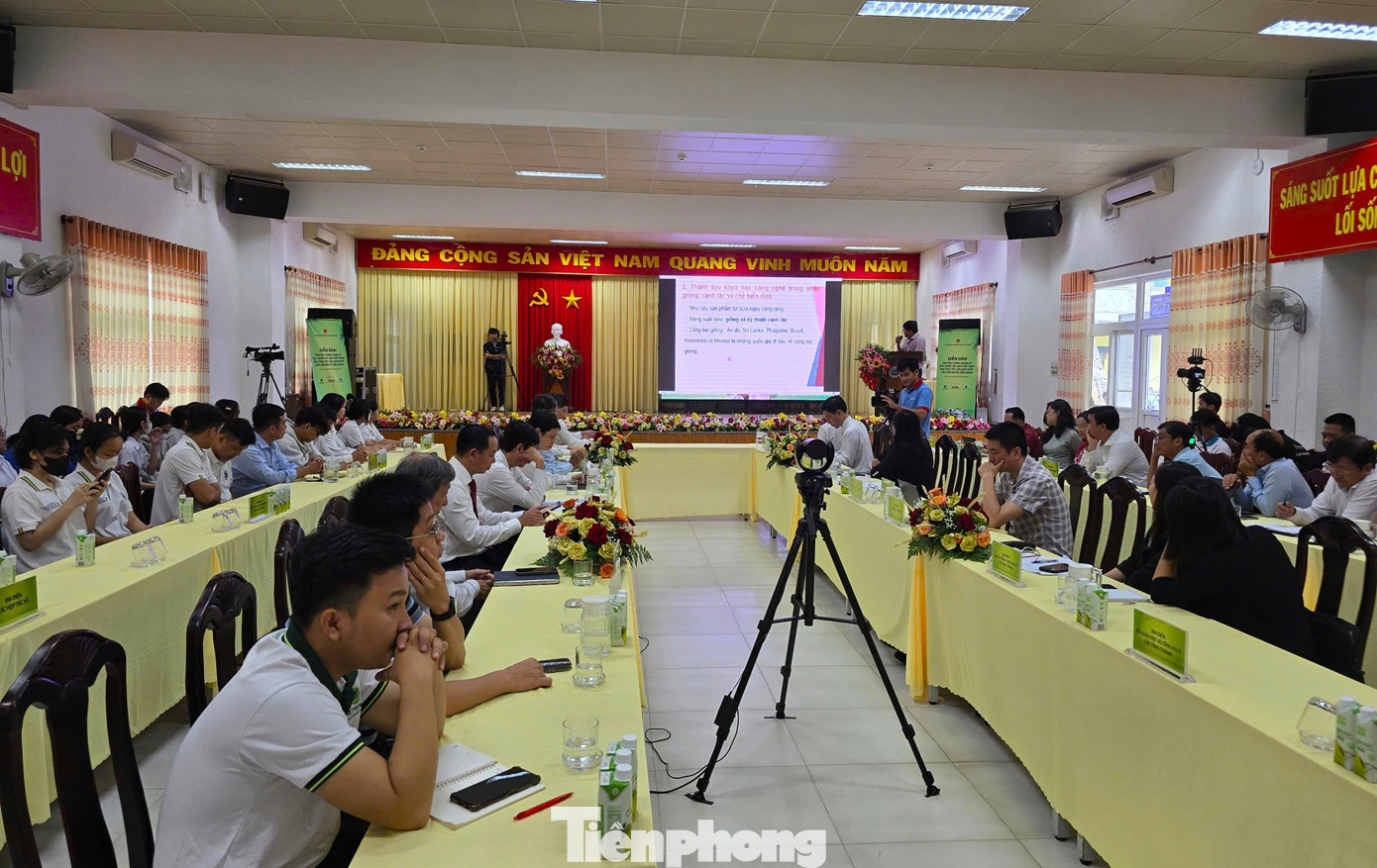 Từ loài cây ít giá trị nay trở thành 'ngôi sao' xuất khẩu của Việt Nam- Ảnh 3.