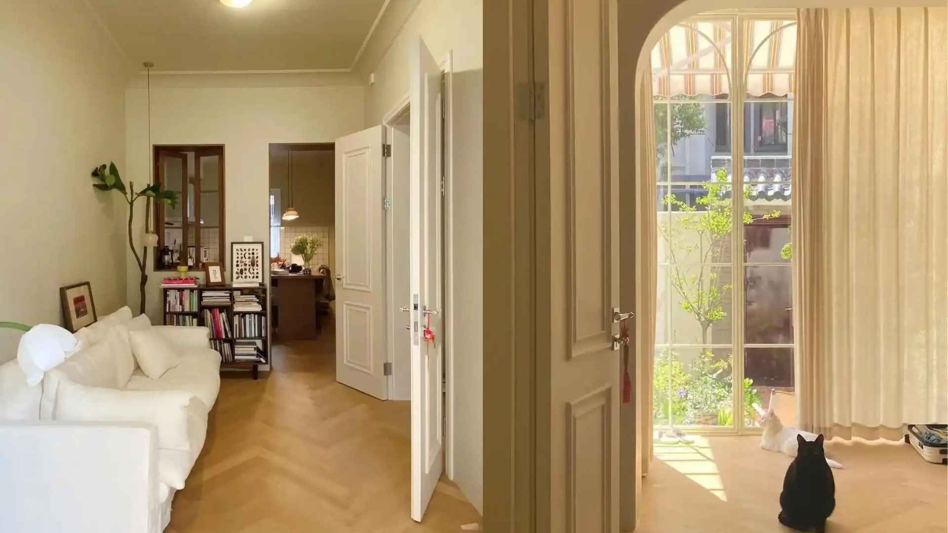 36 tuổi vẫn không kết hôn, người phụ nữ cải tạo đống đổ nát thành nhà đẹp như mộng: 36 tuổi vẫn không kết hôn, người phụ nữ cải tạo đống đổ nát thành nhà đẹp như mộng: