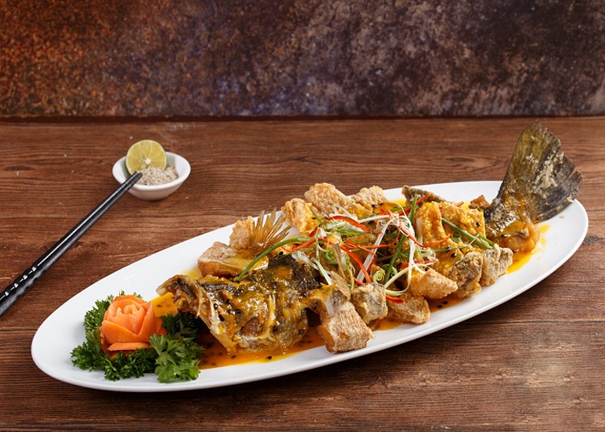 Loại cá được chuyên gia Trung Quốc khen Loại cá được chuyên gia Trung Quốc khen