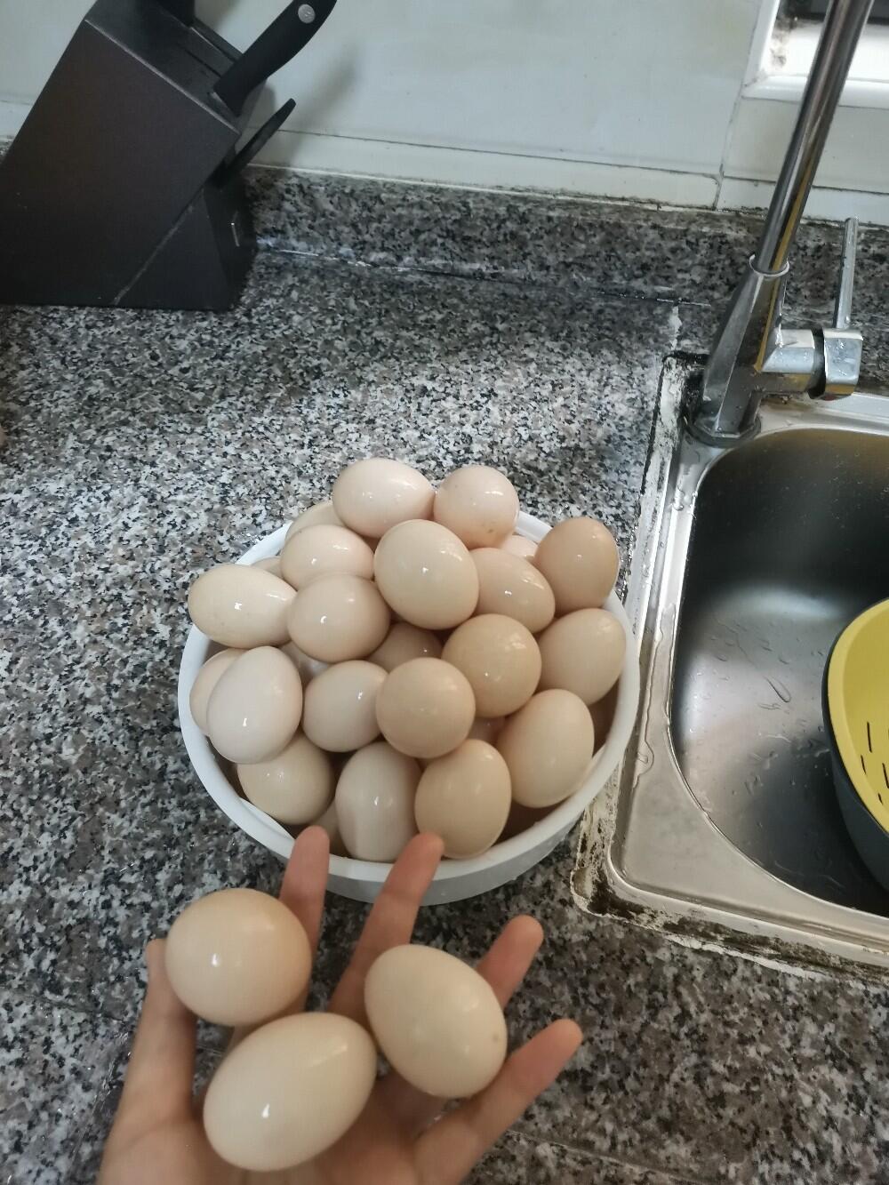 6 thói quen tưởng sạch mà cực bẩn, tôi ước tất cả mọi người biết và tránh- Ảnh 4.