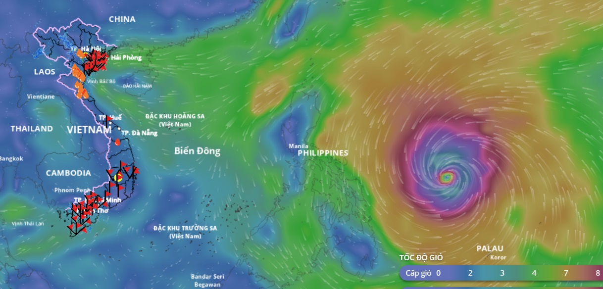 Bão Phượng Hoàng tăng cấp dữ dội, đã mạnh lên cấp cuồng phong, có đổ bộ vào đất liền nước ta?- Ảnh 2. Bão Phượng Hoàng tăng cấp dữ dội, đã mạnh lên cấp cuồng phong, có đổ bộ vào đất liền nước ta?- Ảnh 2.