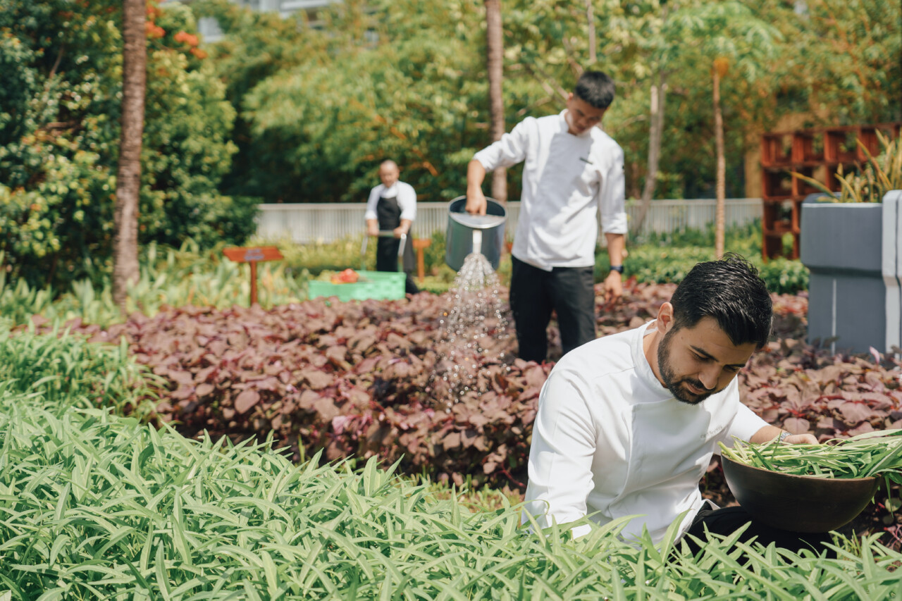 1 khách sạn ở TP.HCM 4 năm liên tiếp "chịu chơi" mời dàn đầu bếp MICHELIN hội tụ tại tuần lễ ẩm thực- Ảnh 2.