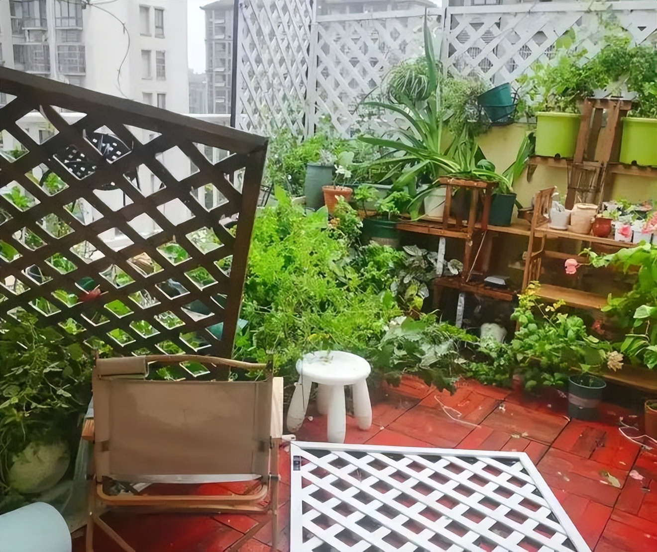 Mua nhà có sân thượng, tôi tưởng sẽ sống như quý cô - ai ngờ chỉ toàn dọn dẹp, tưới cây và lau bụi- Ảnh 1. Mua nhà có sân thượng, tôi tưởng sẽ sống như quý cô - ai ngờ chỉ toàn dọn dẹp, tưới cây và lau bụi- Ảnh 1.