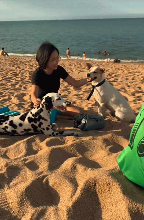 Rời Hà Nội về làng chài Phú Yên, cô gái 25 tuổi biến nhà thuê 2,1 triệu thành tổ ấm đẹp hơn cả resort- Ảnh 18. Rời Hà Nội về làng chài Phú Yên, cô gái 25 tuổi biến nhà thuê 2,1 triệu thành tổ ấm đẹp hơn cả resort- Ảnh 18.