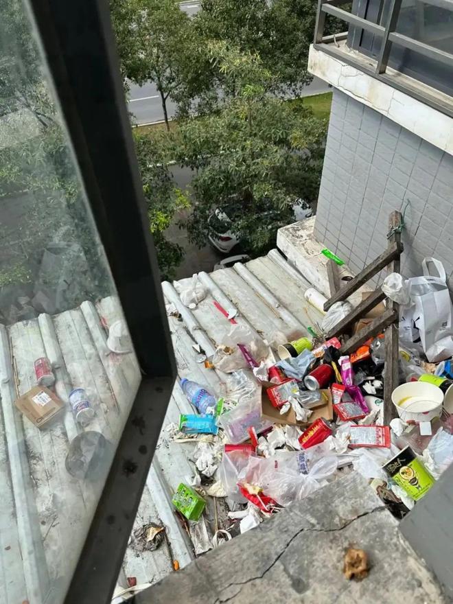 Mua nhà có sân thượng, tôi tưởng sẽ sống như quý cô - ai ngờ chỉ toàn dọn dẹp, tưới cây và lau bụi- Ảnh 3. Mua nhà có sân thượng, tôi tưởng sẽ sống như quý cô - ai ngờ chỉ toàn dọn dẹp, tưới cây và lau bụi- Ảnh 3.