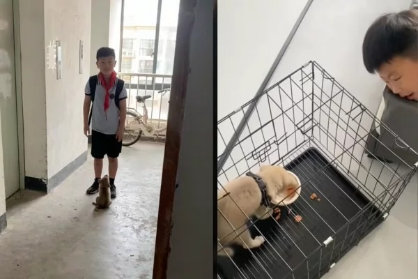 Cậu bé đi chơi về, đứng ở cửa cả buổi nhưng không dám vào nhà, nhìn sinh vật dưới chân mà mẹ giật mình- Ảnh 2. Cậu bé đi chơi về, đứng ở cửa cả buổi nhưng không dám vào nhà, nhìn sinh vật dưới chân mà mẹ giật mình- Ảnh 2.