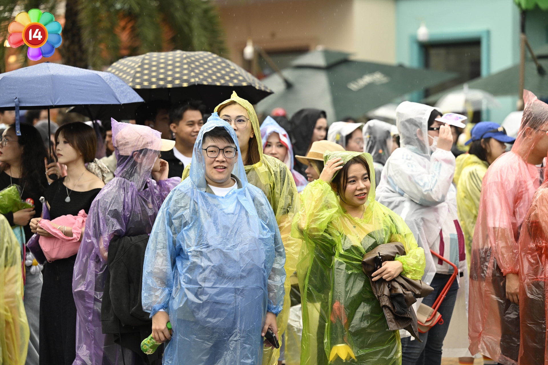 Concert G-DRAGON tại Hà Nội D-2: "Anh Long" cầm ô hát dưới mưa, nguyện tắm mưa cùng fan Việt- Ảnh 1.