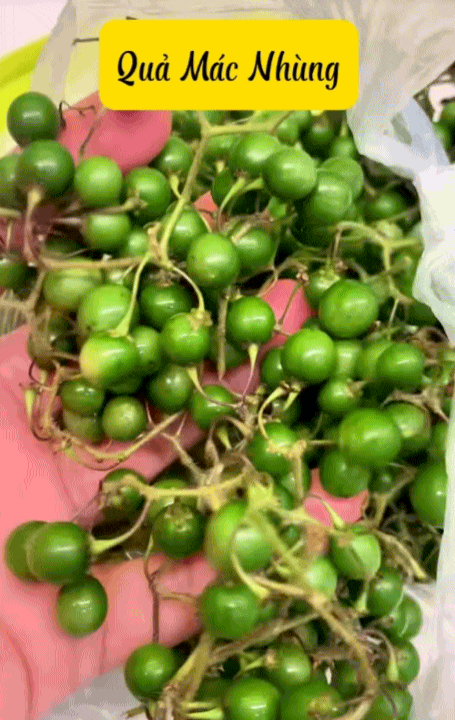 Quả mắc nhung là gì mà ai lên Sơn La cũng muốn thử một lần cho biết?- Ảnh 1.