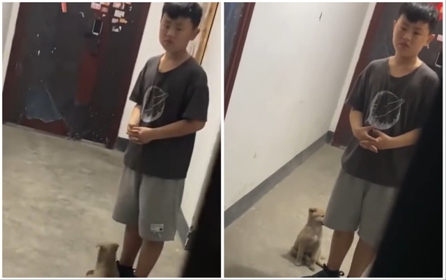 Cậu bé đi chơi về, đứng ở cửa cả buổi nhưng không dám vào nhà, nhìn sinh vật dưới chân mà mẹ giật mình- Ảnh 1. Cậu bé đi chơi về, đứng ở cửa cả buổi nhưng không dám vào nhà, nhìn sinh vật dưới chân mà mẹ giật mình- Ảnh 1.