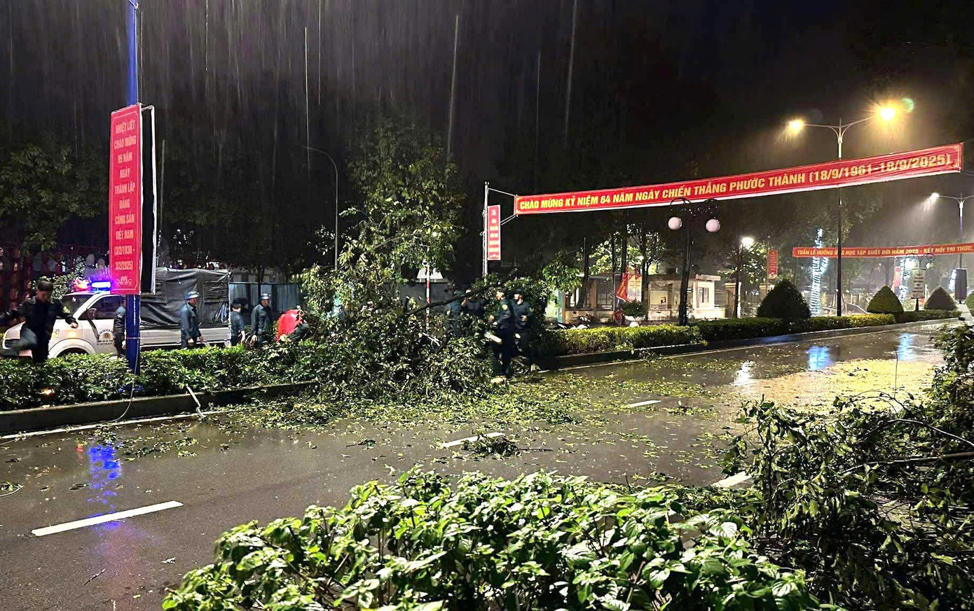 Mưa dông lớn, cây đổ la liệt đè bẹp xe máy ở TPHCM- Ảnh 5.