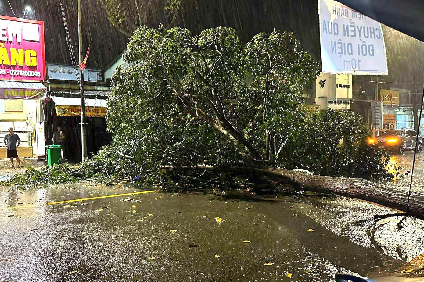 Mưa dông lớn, cây đổ la liệt đè bẹp xe máy ở TPHCM- Ảnh 2.