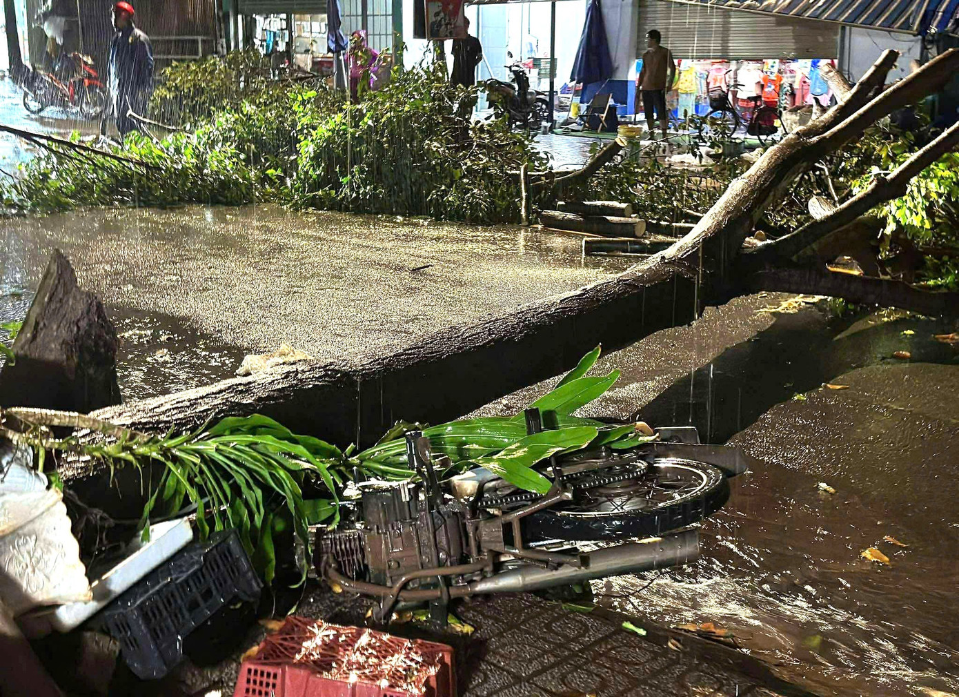 Mưa dông lớn, cây đổ la liệt đè bẹp xe máy ở TPHCM- Ảnh 4.