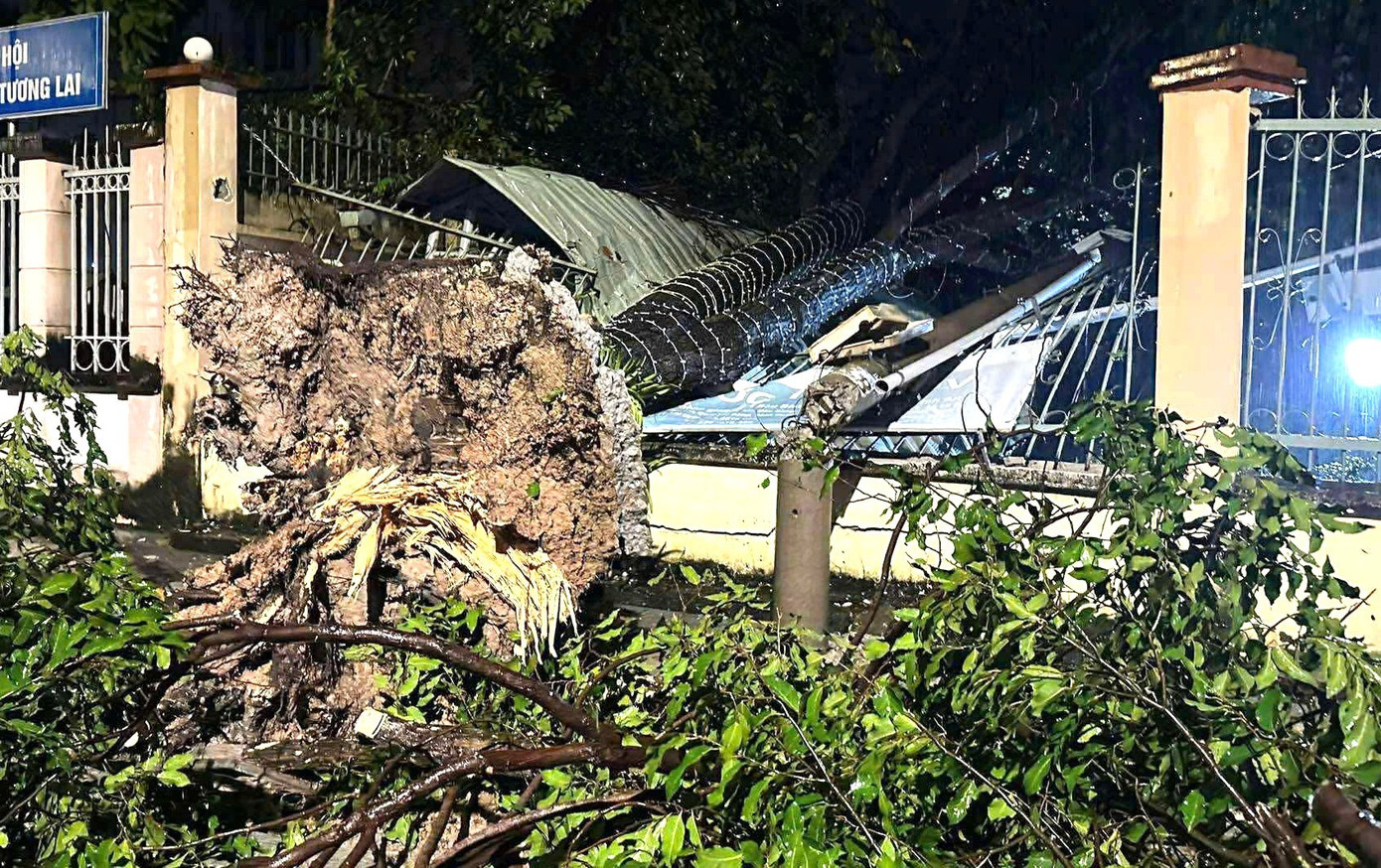 Mưa dông lớn, cây đổ la liệt đè bẹp xe máy ở TPHCM- Ảnh 1.