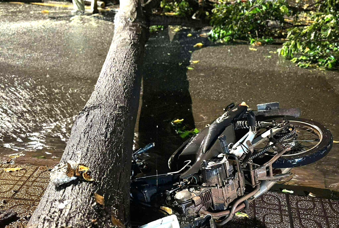 Mưa dông lớn, cây đổ la liệt đè bẹp xe máy ở TPHCM- Ảnh 3.