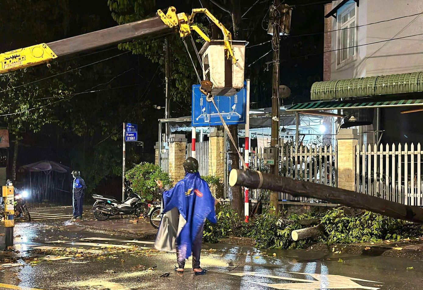 Mưa dông lớn, cây đổ la liệt đè bẹp xe máy ở TPHCM- Ảnh 8.