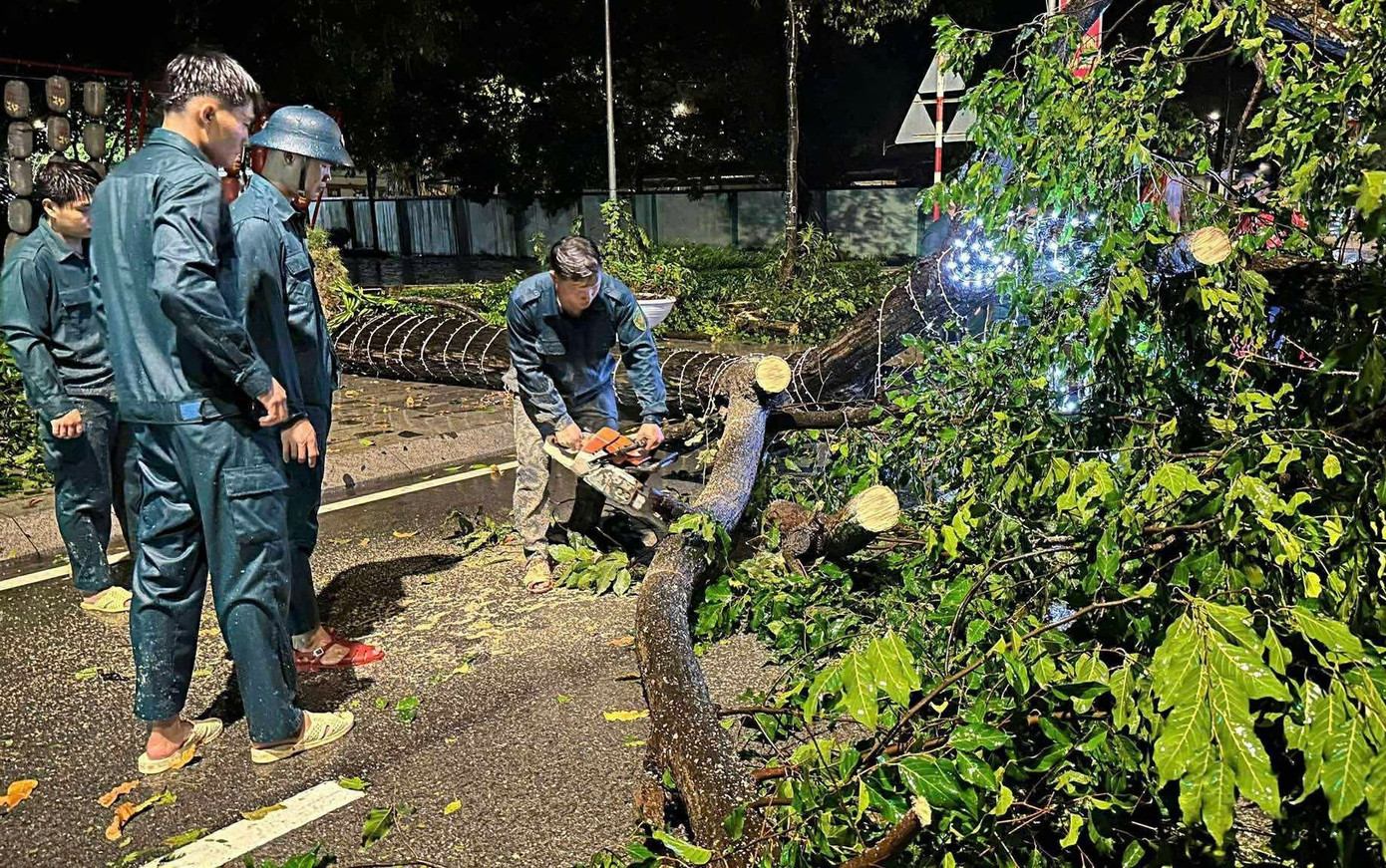 Mưa dông lớn, cây đổ la liệt đè bẹp xe máy ở TPHCM- Ảnh 7.