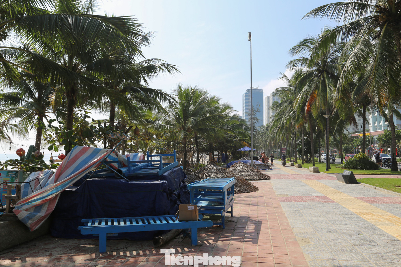 Bãi biển Đà Nẵng lại sạch đẹp như chưa hề có... bão- Ảnh 21.