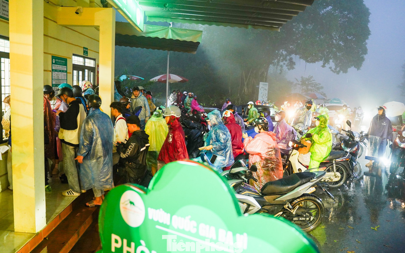 Bạn trẻ vượt 100 km lên Ba Vì chụp hoa dã quỳ trong mưa rét- Ảnh 1.