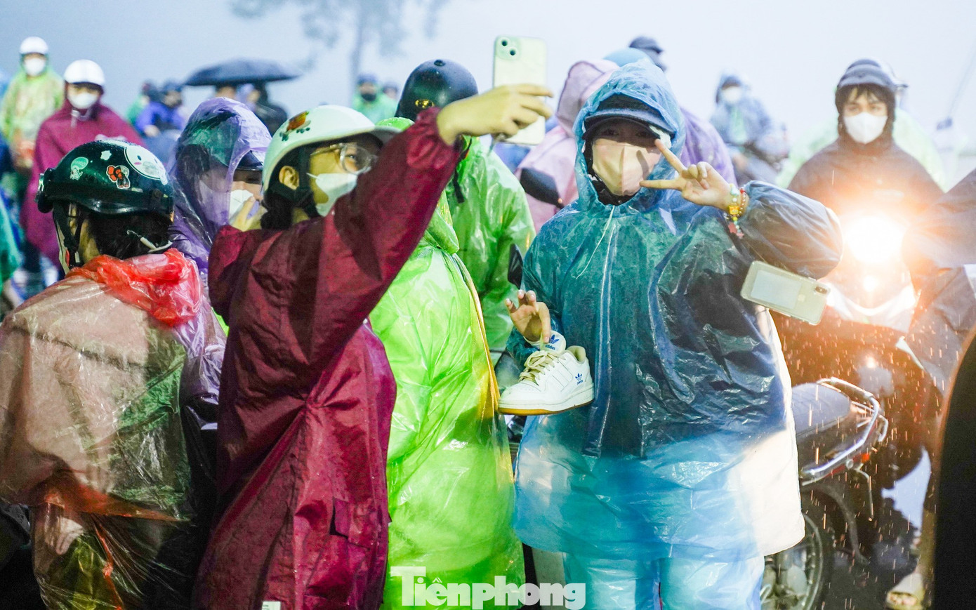 Bạn trẻ vượt 100 km lên Ba Vì chụp hoa dã quỳ trong mưa rét- Ảnh 2.